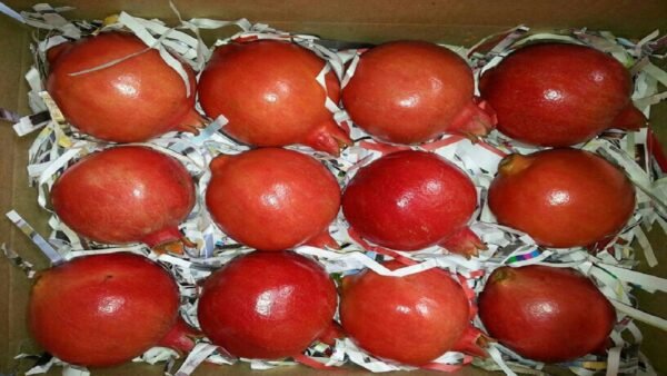 Fresh Pomegranate - Image 2