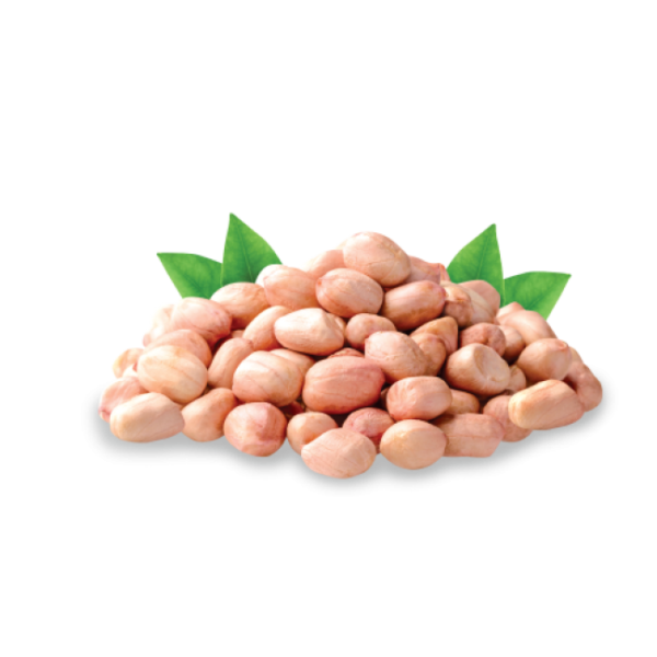export peanuts