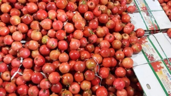 Fresh Pomegranate - Image 4