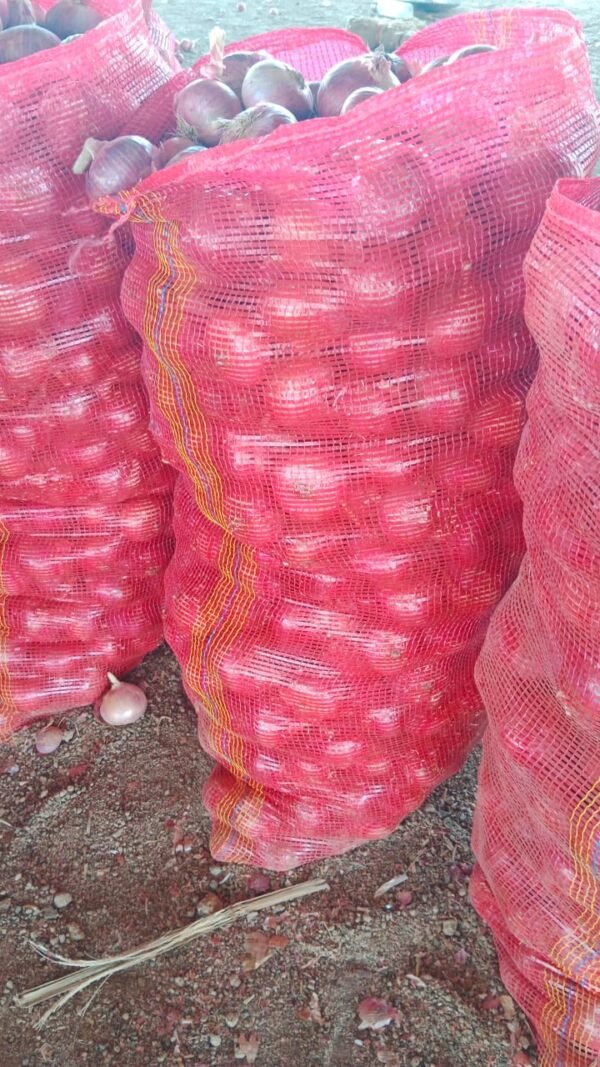 Fresh Red Onion - Image 2