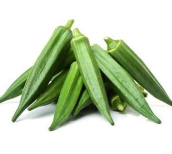 Fresh Okra
