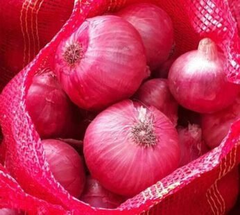 Fresh Red Onion