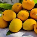 ratnagiri alphonso mango