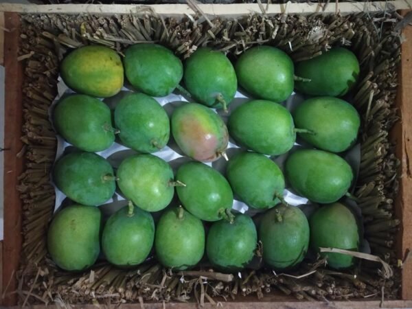 Ratnagiri alphonso mango & Devgad alphonso mango - Image 9